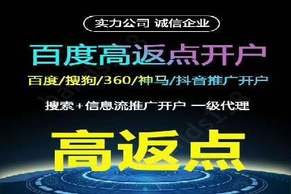 案例研究：SEM推广助力企业业绩增长